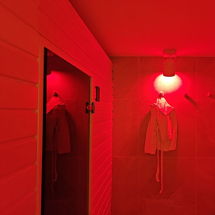 Red Bulb 9w